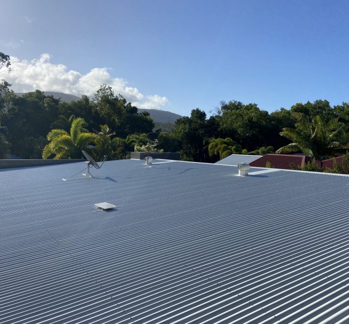 Holcroft Painting Cairns Roof